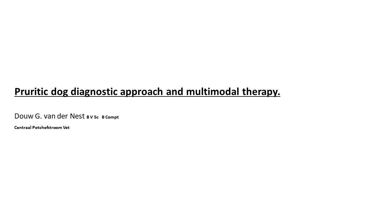 Pruritic_Dog_Webinar_Slide_01.jpg